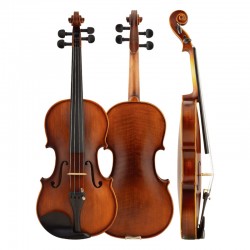 New Christina Violin V03 Genuine High-end Multi color violin music instruments
