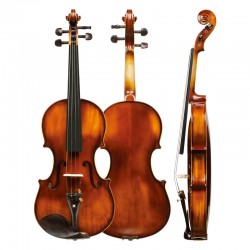 Christina V02 Authentic Handmade Wood Beginner Violin Musical Instruments